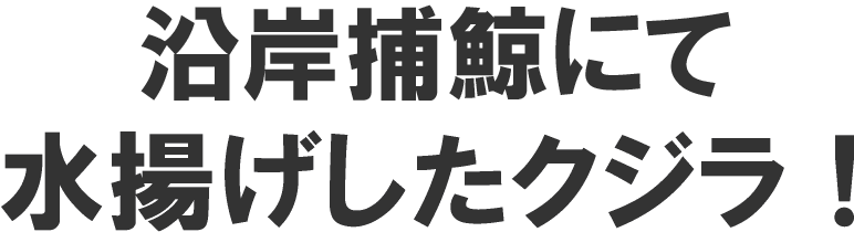 沿岸捕鯨