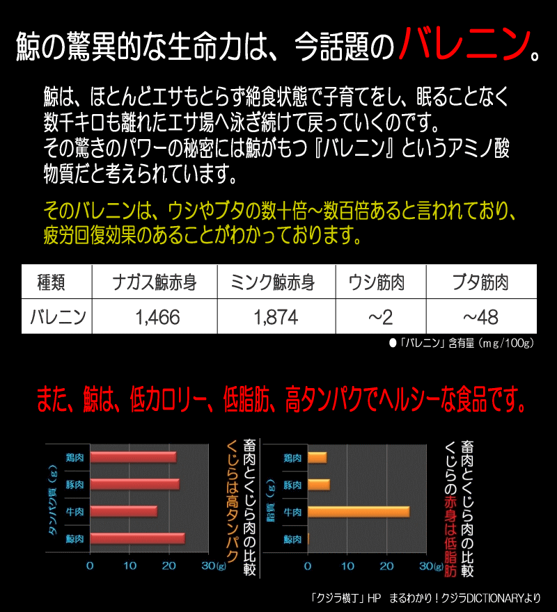 鯨の驚異的な生命力は、今話題のバレニン