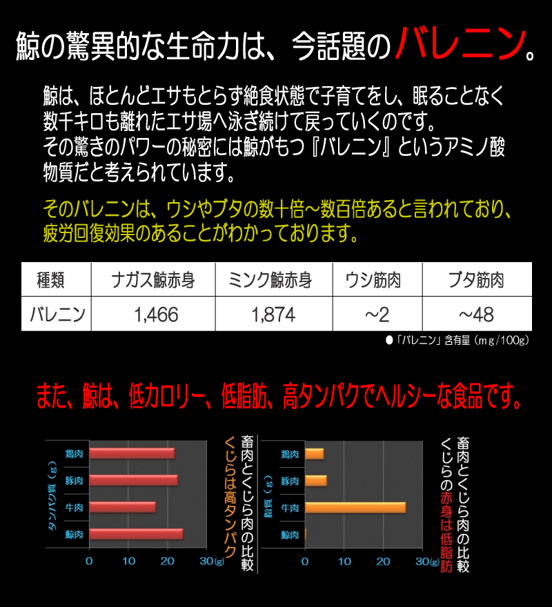 鯨の驚異的な生命力は、今話題のバレニン