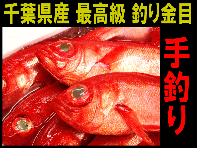 千葉県産 最高級 釣り金目 手釣り