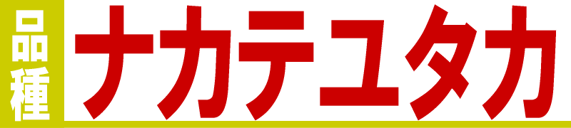 ナカテユタカ　中手豊